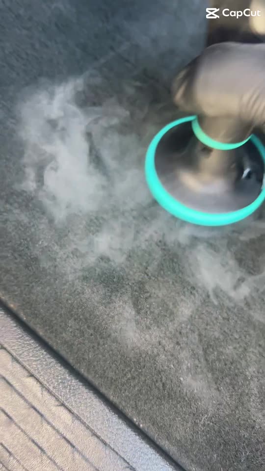 Steam Sanitization